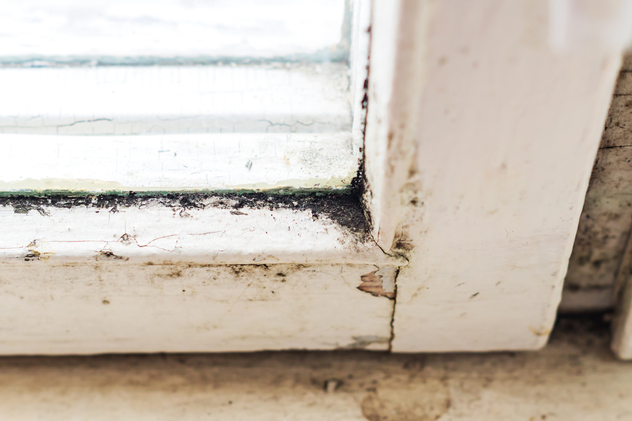 Rotten window frame